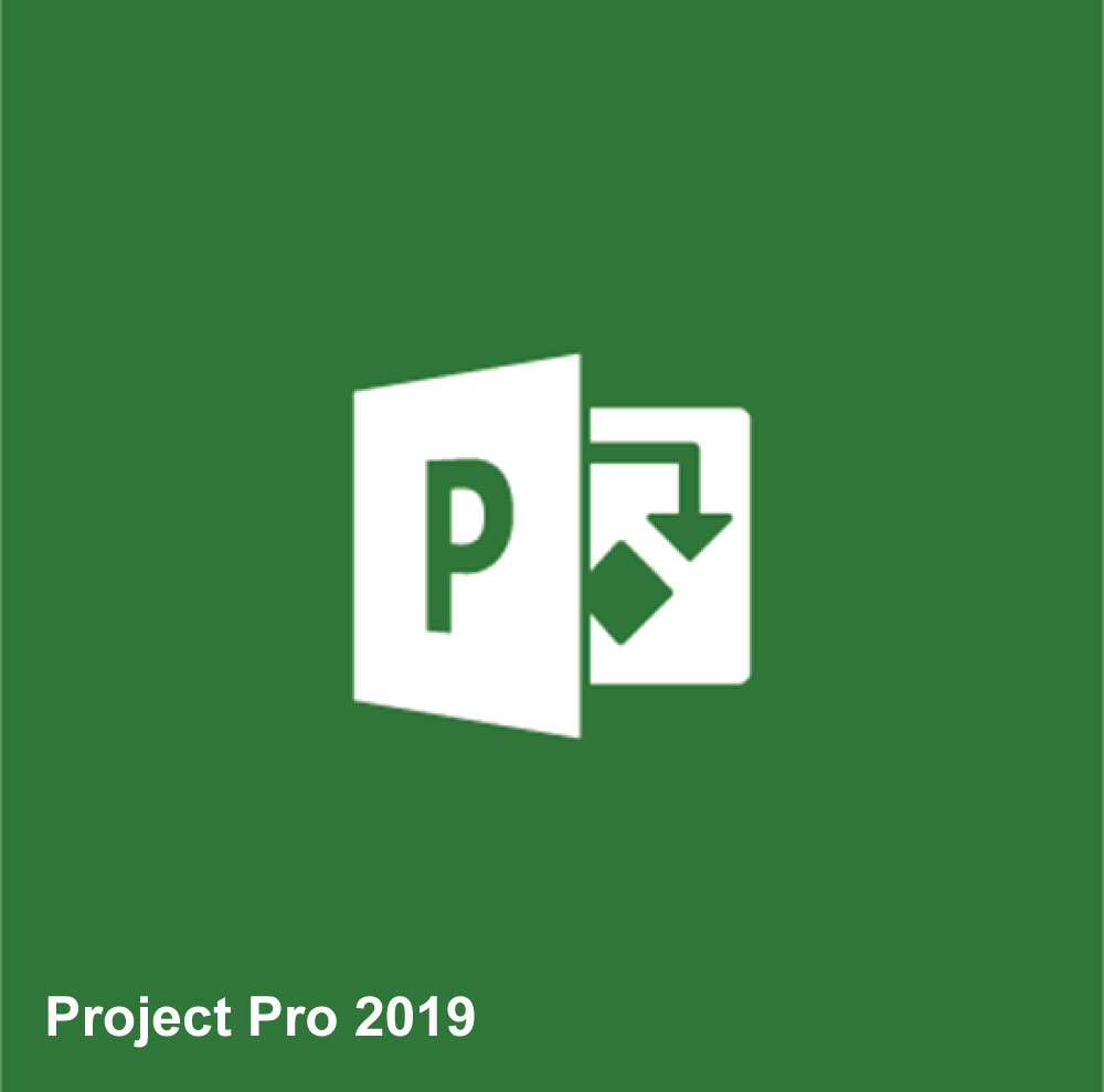 Project Pro 2019