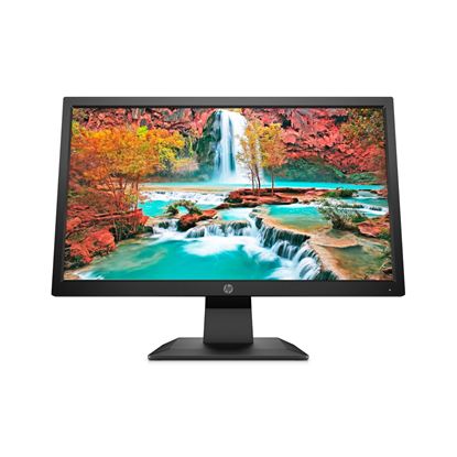 Picture of HP P204v 19.5'' Monitor