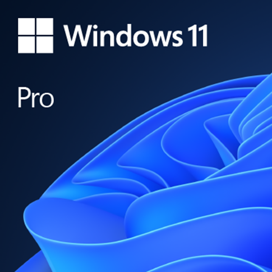 Picture of Windows 11 Professional