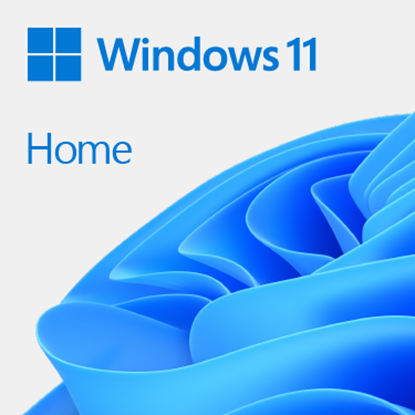 Picture of Windows 11 Home